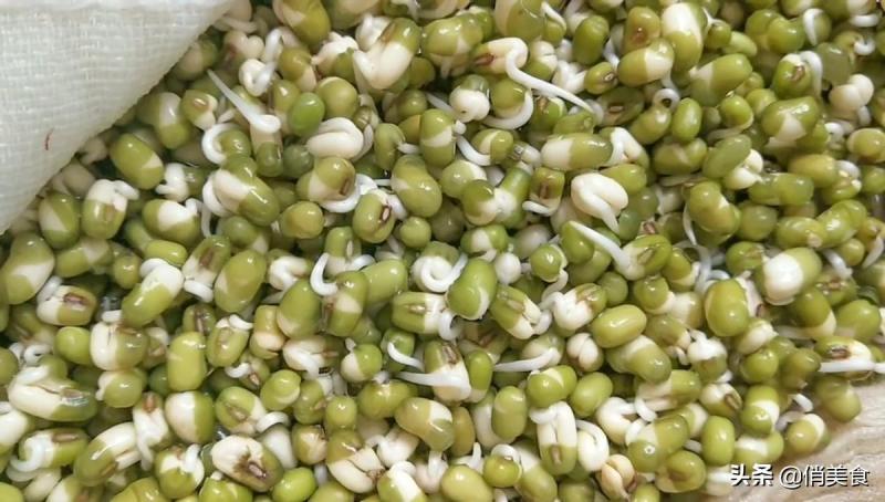 家庭生绿豆芽的简单方法（教你5个小秘诀）