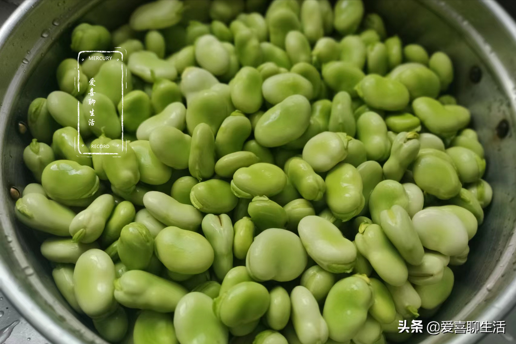 保存蚕豆，别直接放冰箱，三种方法保存更新鲜，从夏到冬随吃随取