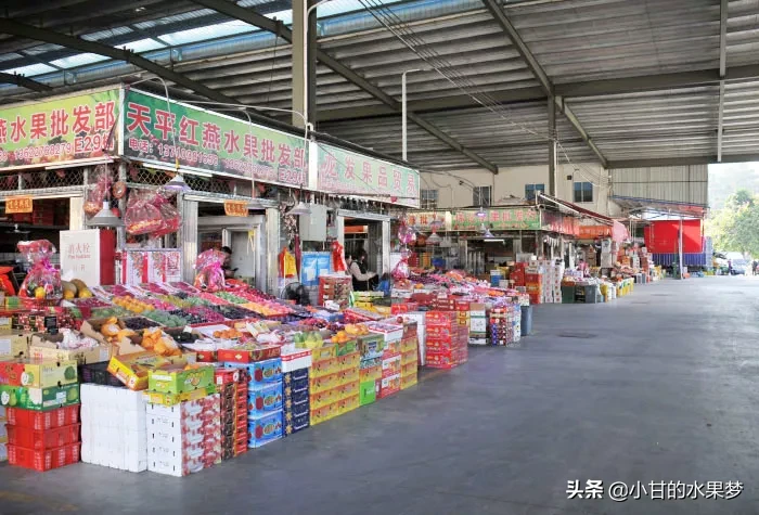 广州水果批发市场在哪里，批发市场大全