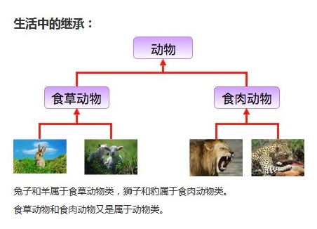 Java基础教程：Java继承概述