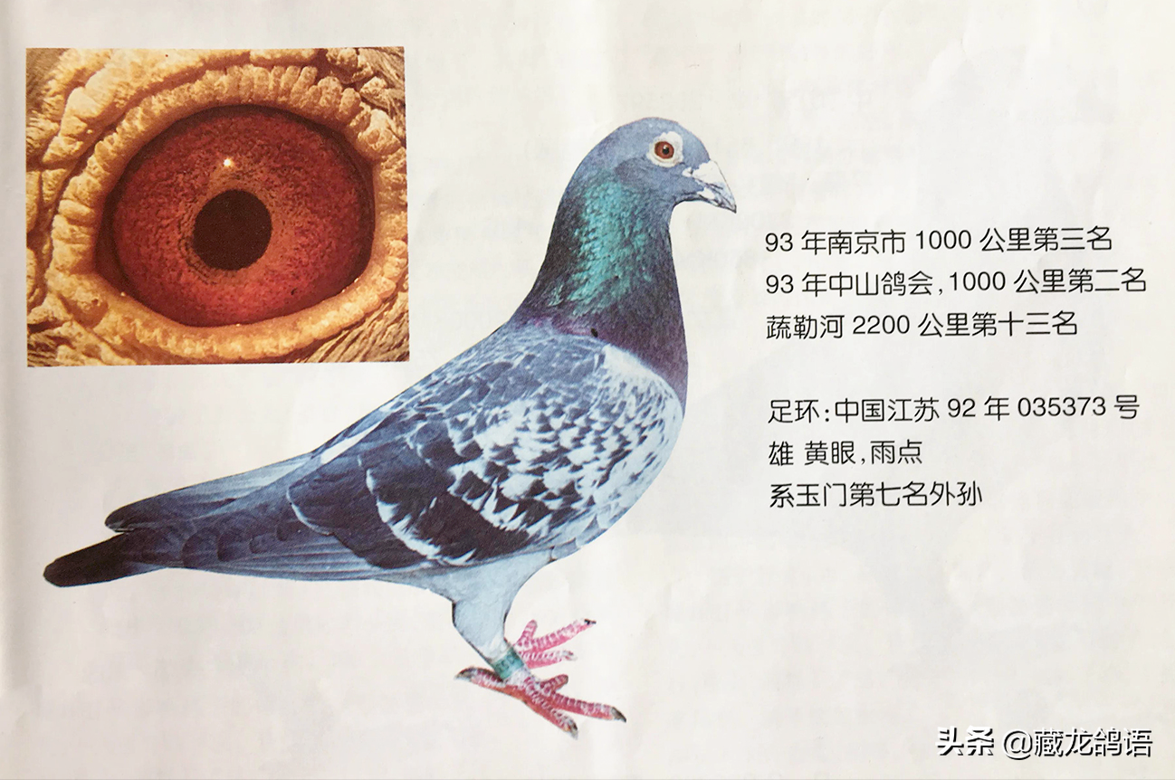 12a1a23fbc68472e929978a1e737ec9e