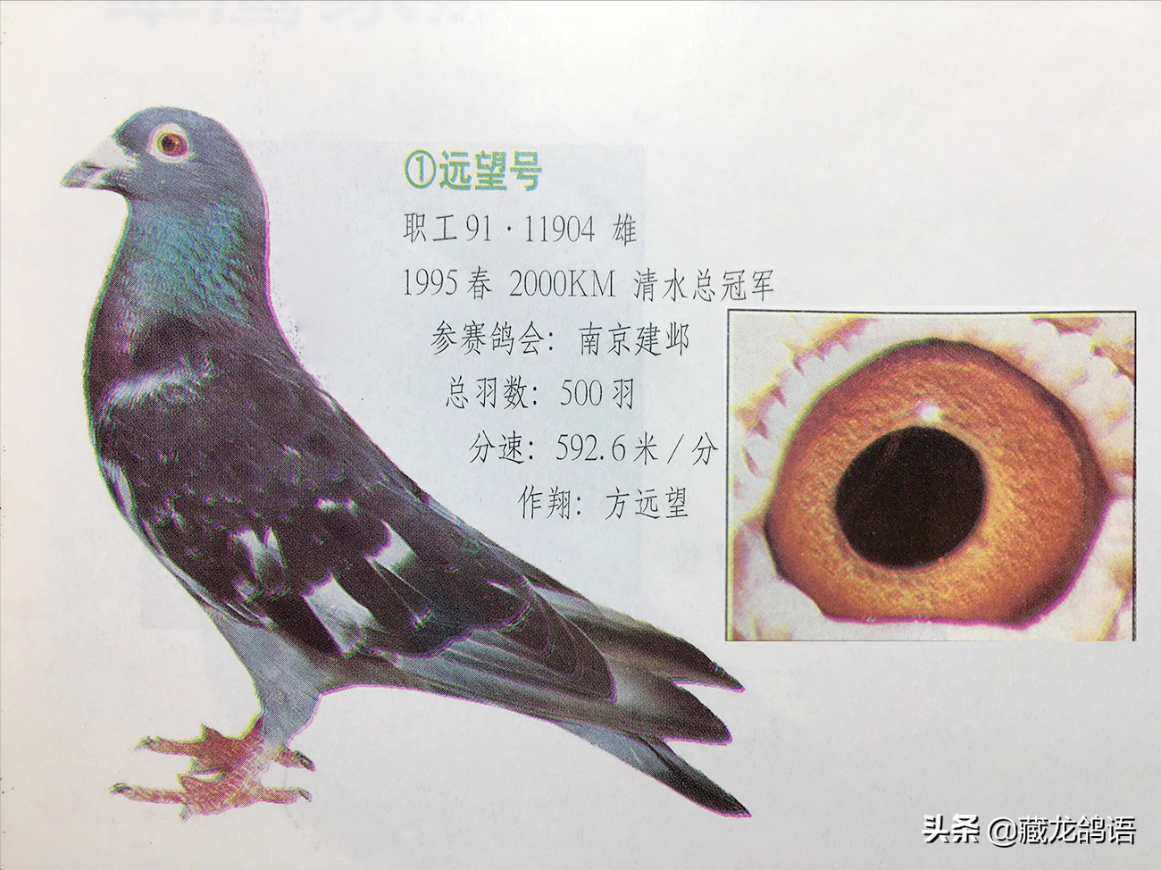 35a77640f7244908adf8e6e678f5006c