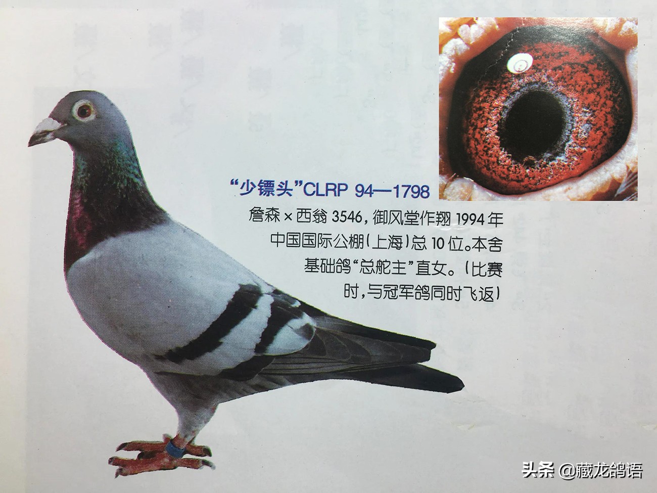 3a207cd6f9764926bde796fd416209c0-1
