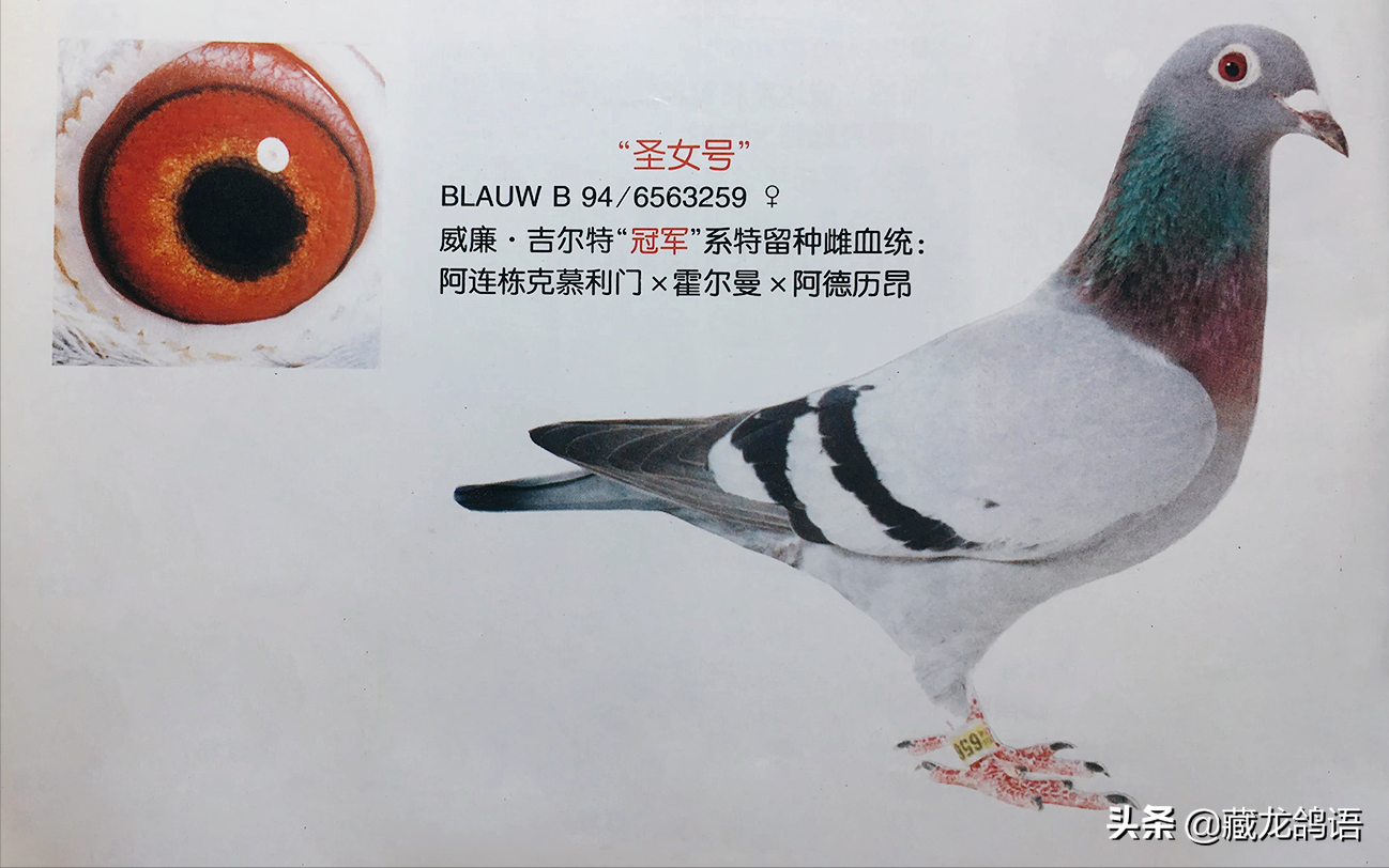 404e42bfed8c48ef9cecf9e4a35e6cd5