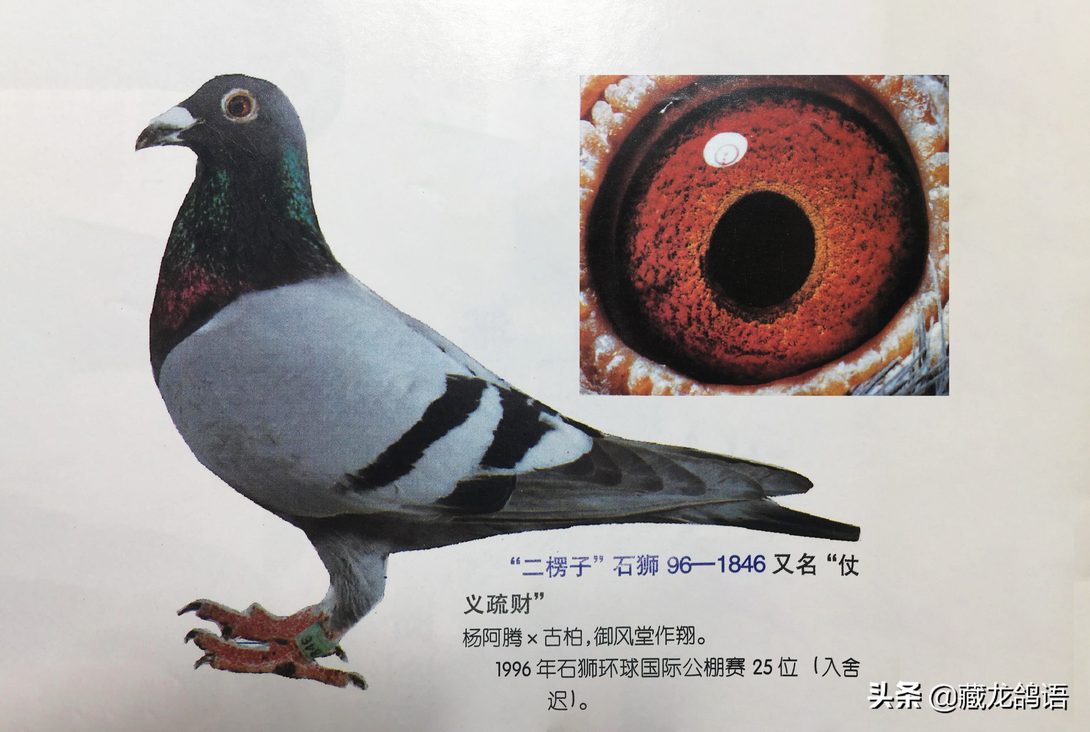 75952b6bb46c46ec84100d7c5f91e4ca