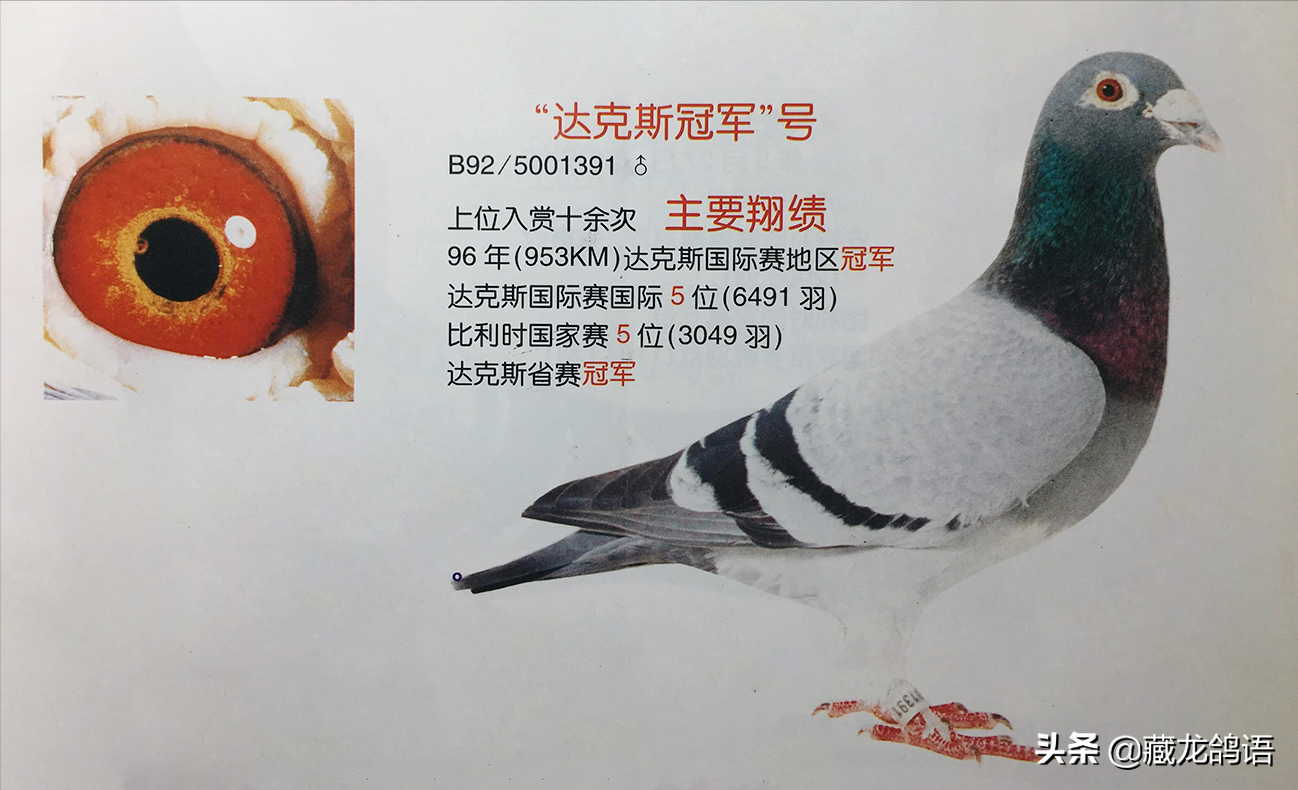 9c2593bb81bf4397980592a894ee89a4