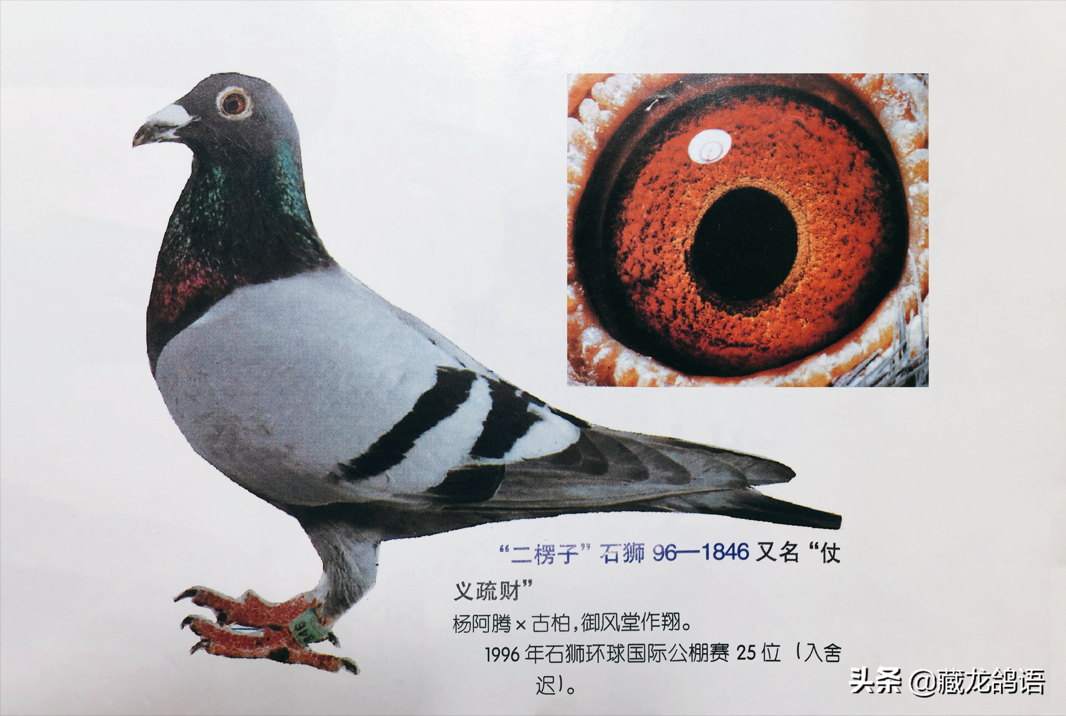 b1b0b87ecf5f4b88a024c65ec90cf967
