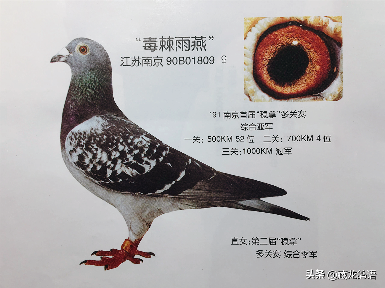 eaf64461543248fd9a5f50e9be9c8b58