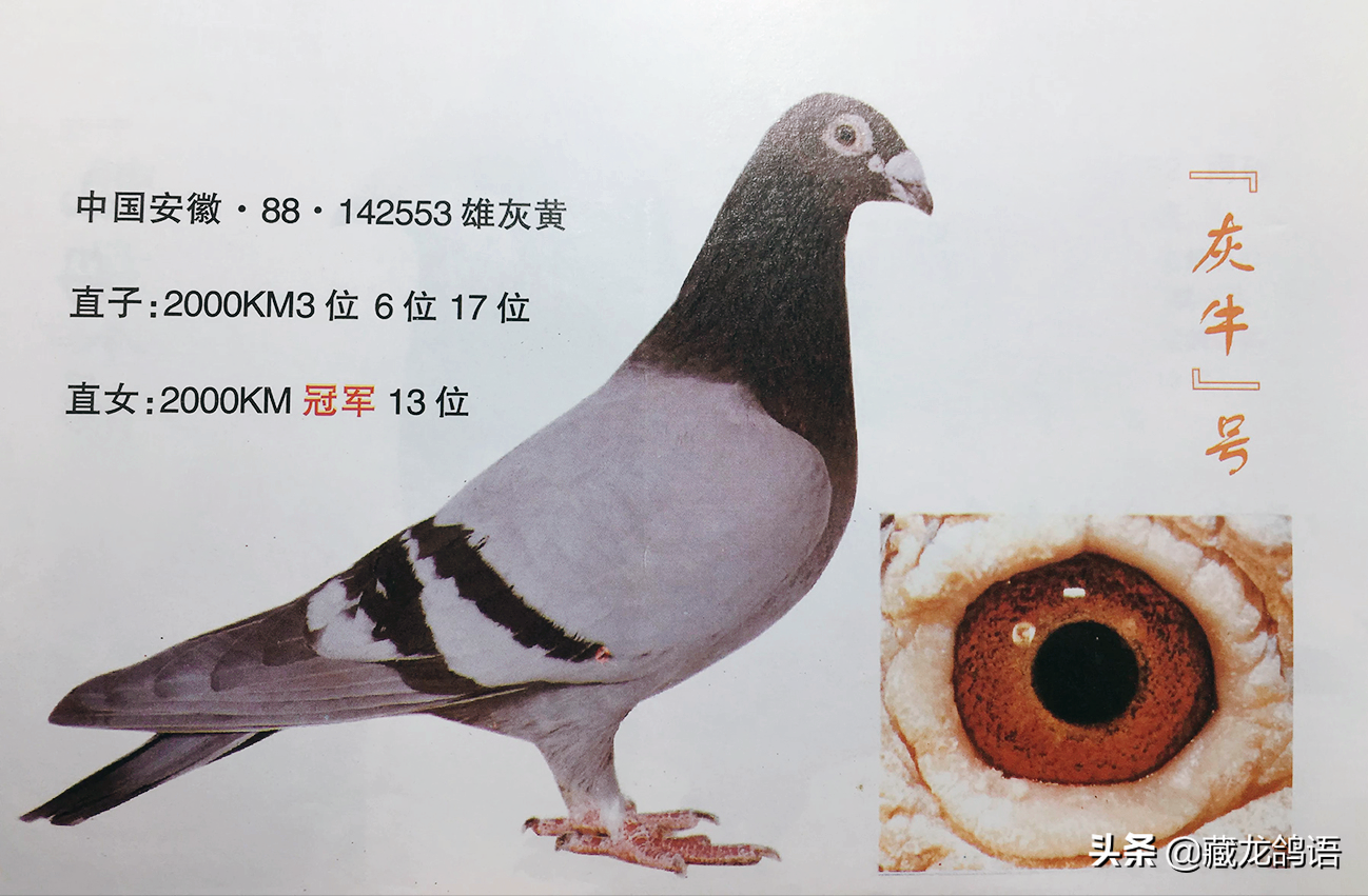 f30a557db1c242e2ae1b5db7360ea9c7
