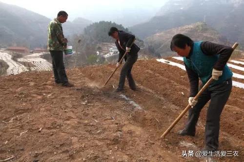 没人注意的暴利行业(五个轻松致富好项目)