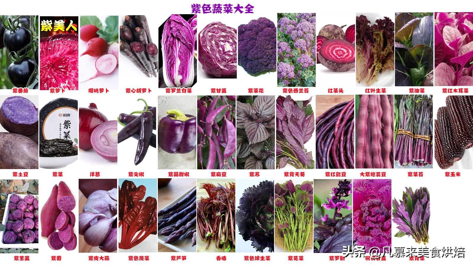 紫色的蔬菜有哪些（35种紫色蔬菜图片及名称大全）